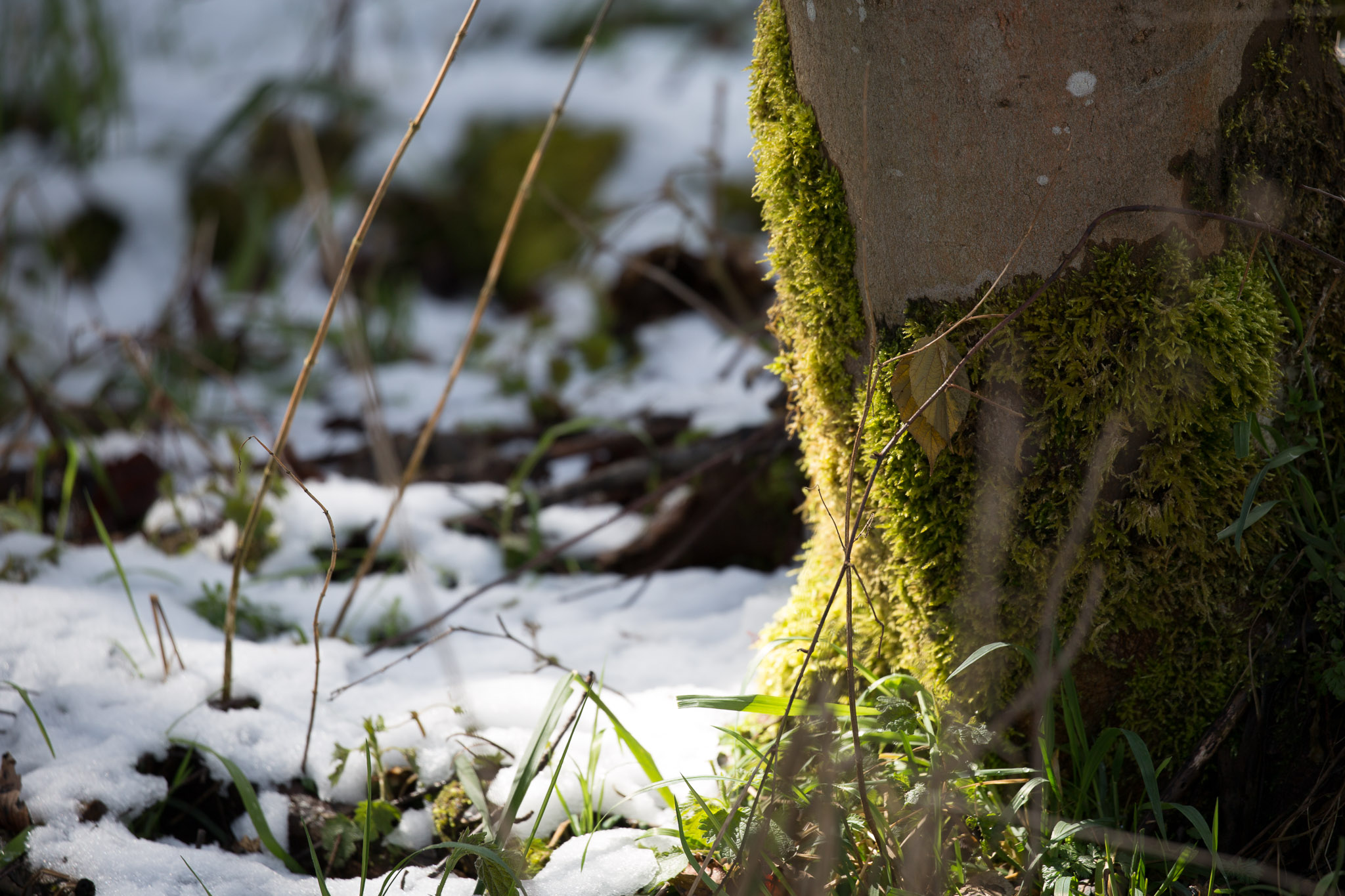 20220409150849 3K6A1924